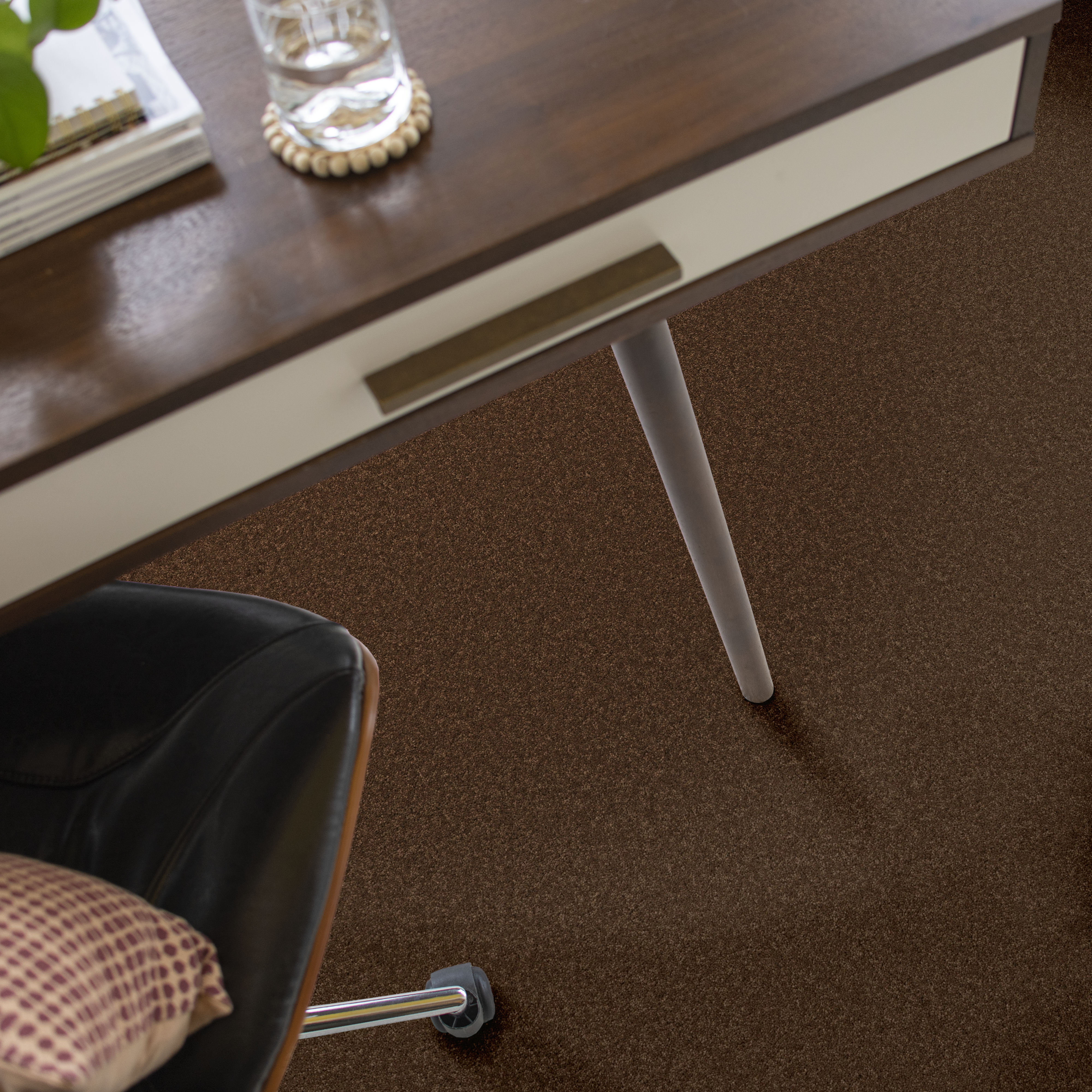 Cherished - Bronco - ZB268_00768